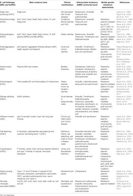 Escherichia coli as a Multifaceted Pathogenic and Versatile Bacterium